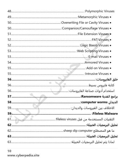 ⁦البرمجيات الخبيثة - الإصدار الثاني⁩ - الصورة ⁦5⁩